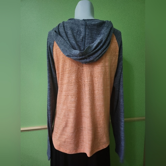 Orange and Navy Zip-Up Hoodie with Blue and White Puffy "D" - Picture 2 of 5